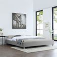 Lit futon king double NIZZA gris 180x200 cm 2 places 2 personnes adulte sommier