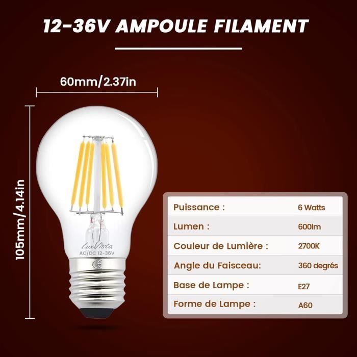 Ampoules Led E27 Basse Tension AcDc 12V24V Blanc Chaud 3000K 6W 600Lm A60 Lampe À Filament À