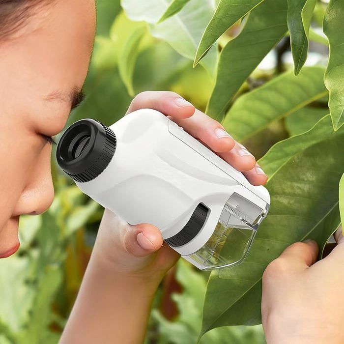 Acheter Kit de Microscope portatif 100x, Mini Microscope de poche Portable de laboratoire, cadeau pour enfants