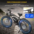 Vélo Électrique Hidoes B3 - 1200W - 18.2Ah Batterie - Frein hydraulique - Shimano 7 vitesses - 26*4,0 pouces-3