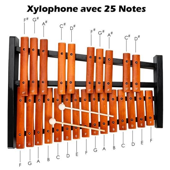 GLP Xylophone Percussion en bois 25 notes Instrument de musique éducatif avec 2 maillets et valise Glockenspiel professionnel pour adultes et enfants 
