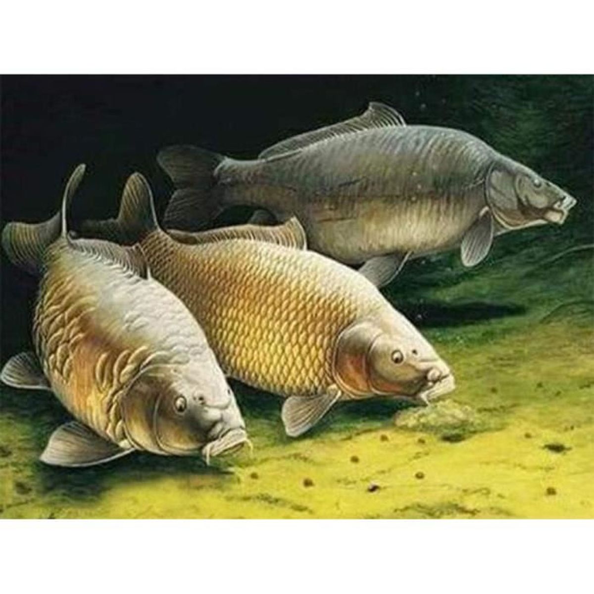 1000 Pieces Adults Jigsaw Puzzles,Animal Series Retro Carp Wooden