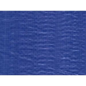 BACHE Bâche de protection 250g avec oeillets - Bleu 15m x 10m