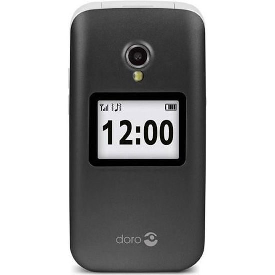 Téléphone portable Doro 2424 - Clapet - SIM unique - 6.1 cm (2.4") - 3 MP - 800 mAh - Gris