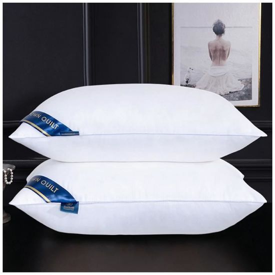 MISSMAO Oreiller 48x74 Lot de 2 Rectangulaire Oreillers Hotel Réglables en Microfibre Doux et Confortable, Anti-Acarien et Hypoallergénique,A-Blanc, 48x74cm(600g