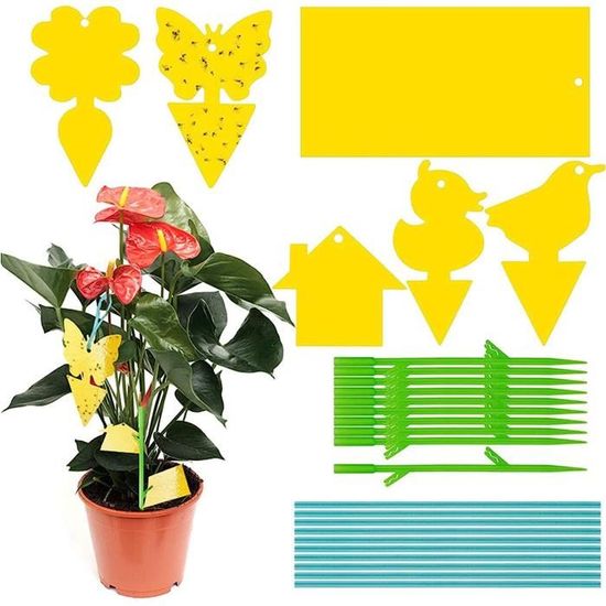 90Pcs Attrape Moucheron Plante, Anti Puces Maison, Anti Moucherons