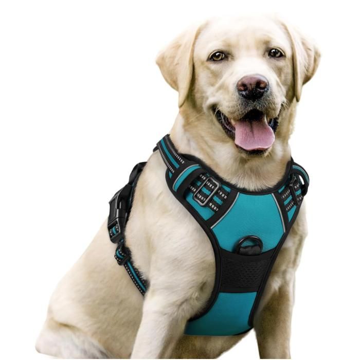 rabbitgoo Harnais Chien Anti Traction XL Vert Foncé Arnais Réfléchissant Gilet Réglable pour Chien Attache Devant Crochet de Laisse
