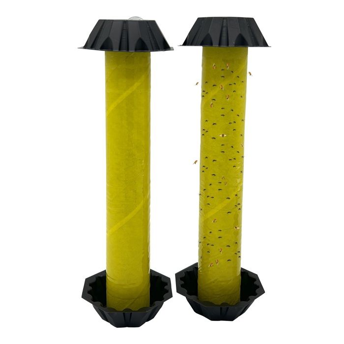 Repulseo® Piège à Mouches des Fruits [Made in UE] Anti Moucherons Intérieur Attrape Moucherons Cuisine Piege Mouchettes Fruits