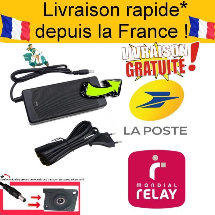 Chargeur trottinette électrique Wispeed T855 Surpass 8 proGo ride 42v pour batterie 36v SEEDTECH EXPEDITION DEPUIS LA FRANCE