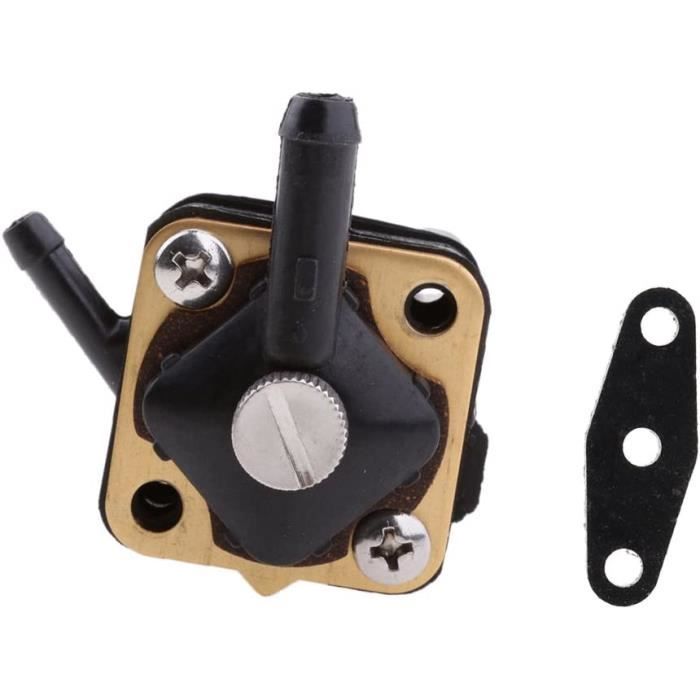 Pompe électrique Compacte Johnson 12V – Modèle Standard, Parfaite Pour Petits Transferts