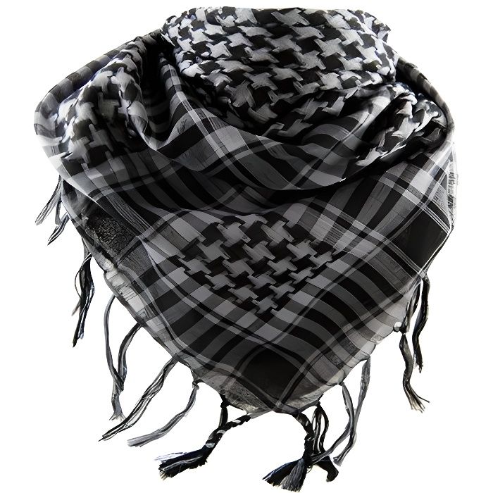 https://www.cdiscount.com/pdt2/0/2/9/1/700x700/auc3123456762029/rw/keffieh-palestinien.jpg