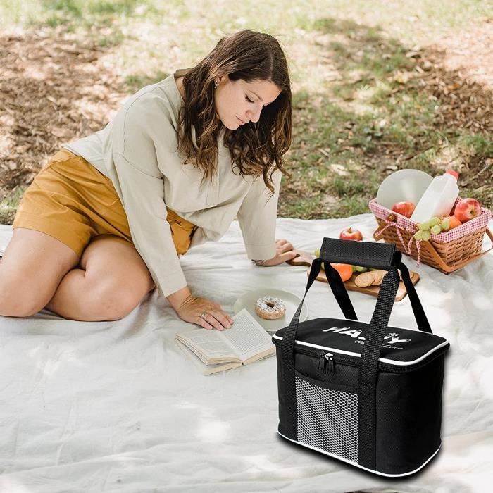 Petite best sale glaciere repas