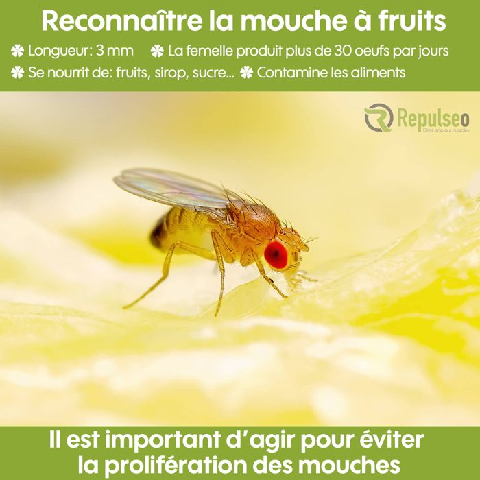 Lampe Anti Moustique Electrique, Intérieur Et Extérieur Tue Mouches 20W