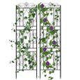 Treillis Jardin Extérieur pour Plante Grimpante - UNHO - 182x50cm - Fer Forgé - Noir-0