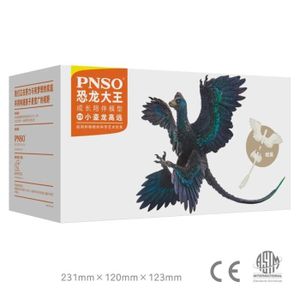 FIGURINE - PERSONNAGE Avec boîte d'origine - PNbucMicroraptor-Figurine Dromaeosaurus, Modèle de Dinosaure, Collectionneur d'Animaux