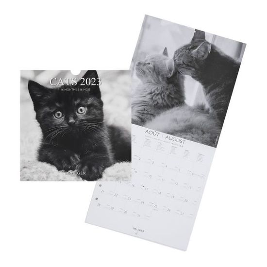  Calendrier mural chats et chatons 2024 - Collectif