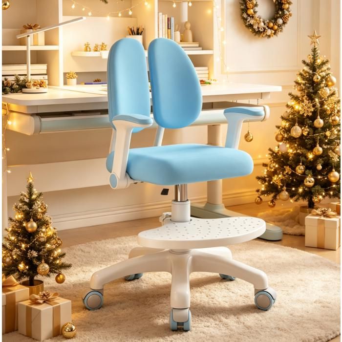 Chaise de bureau ergonomique avec support lombaire, accoudoirs Chaise de bureau ergonomique avec support lombaire, accoudoirs