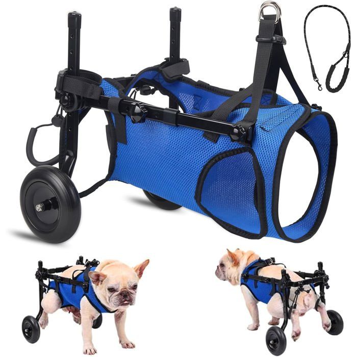 Fauteuil roulant réglable pour petits animaux de compagnie taille M aide à la mobilité pour pattes arrières paralysées