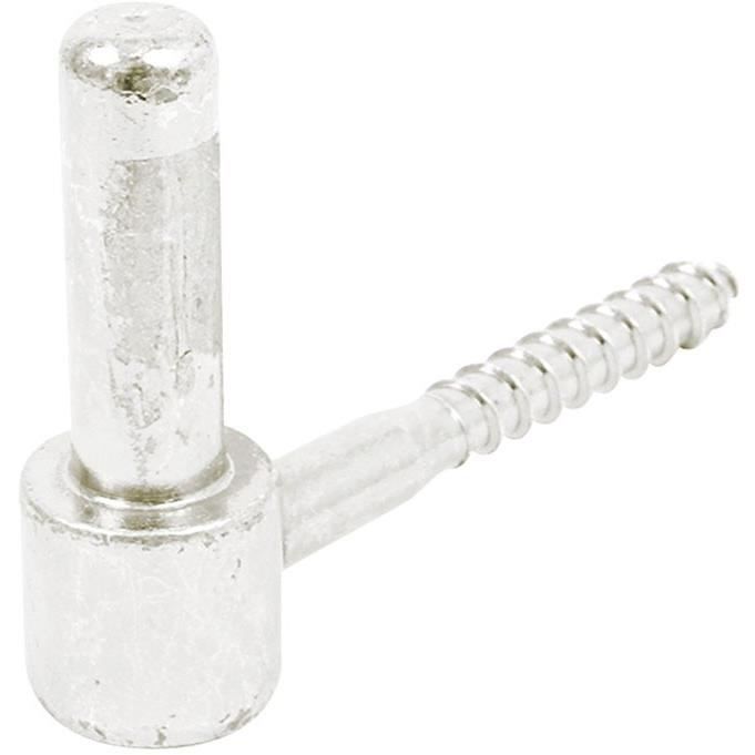 AFBAT Gond à visser 14 tirefond 10 l100mm zingué