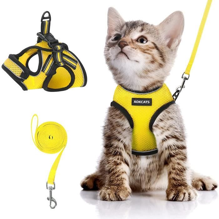 Gilet jaune pour chat best sale