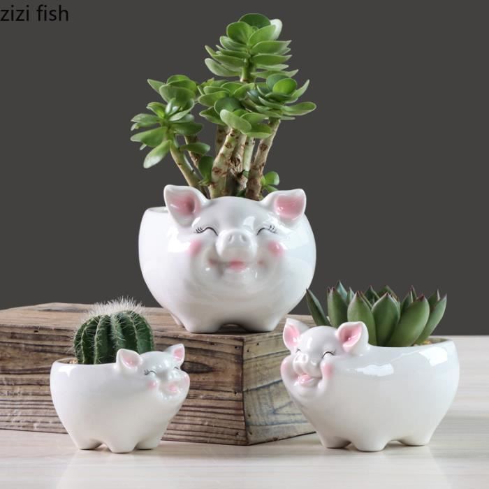 MONMOB Lot De 3 Mini Pots Fleurs Céramique Forme Dent - Pour Plantes Grasses, Succulentes, Déco Intérieure