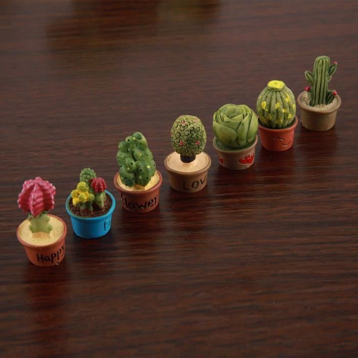 Petit cactus, mini plante, mini plante tressée panier pour ami enfant