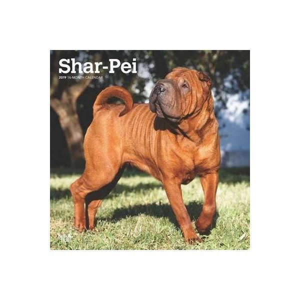 Calendrier Shar Pei 2019 Achat Vente Calendrier Ephemeride Calendrier Shar Pei 2019 Cdiscount