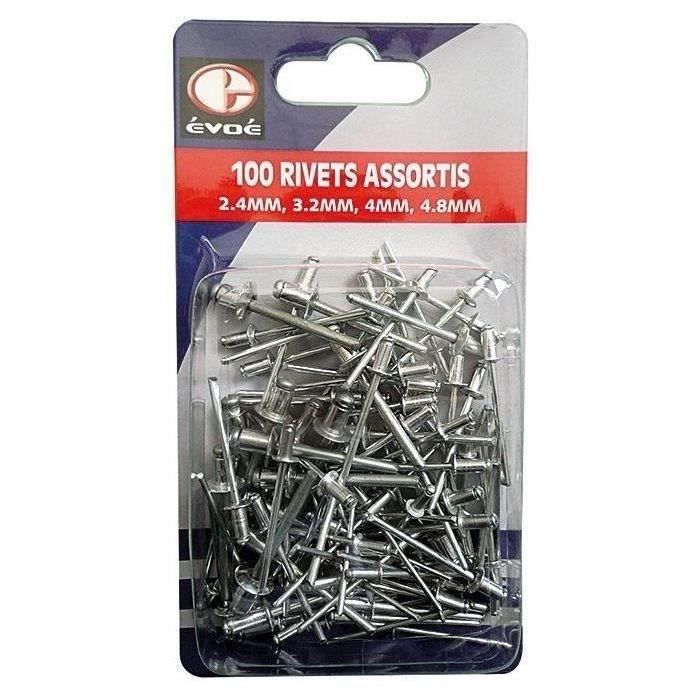 Rivets 100 assortis