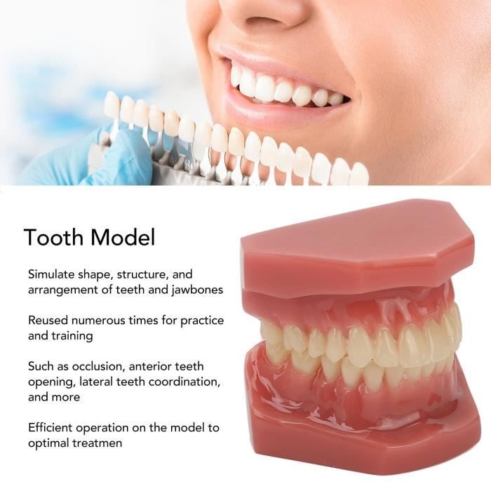 Haute qualité Dents dent orthodontique formateur d'appareils alignement  pour Adulte Bretelles oral hygiène équipement de dent - Cdiscount  Electroménager