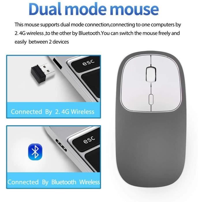 Zienstar-Souris Bluetooth sans Fil Ergonomique avec Triple Mode (Double  Bluetooth+2,4 G sans Fil),Rechargeable,Clic Silencieux-Blanc : :  Informatique