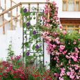 Treillis Jardin Extérieur pour Plante Grimpante - UNHO - 182x50cm - Fer Forgé - Noir-2