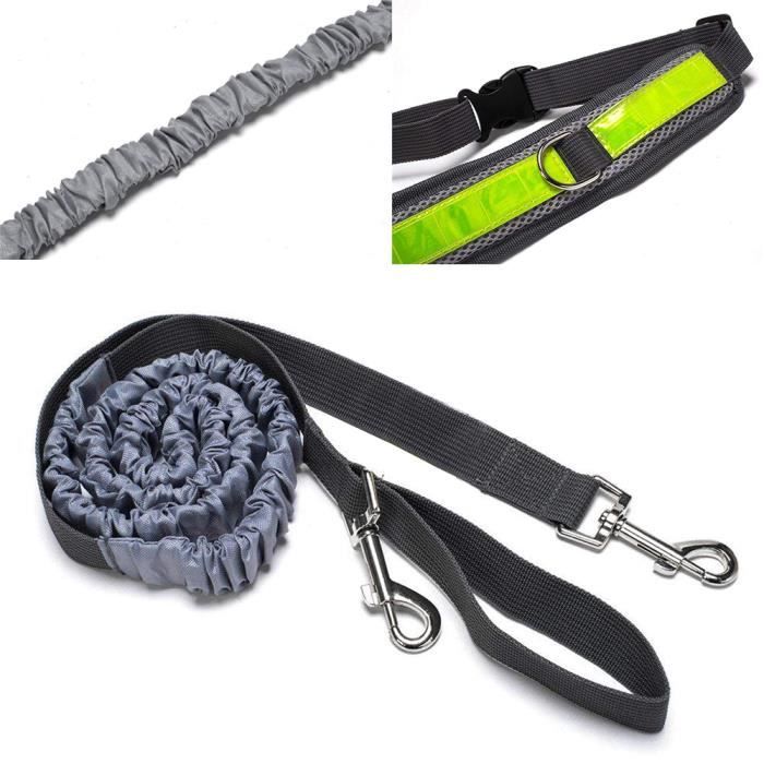 Ceinture ventrale avec store laisse pour chien