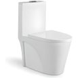 WC à Poser Monobloc - Céramique Blanc - 39x75 cm - Fusion - RUE DU BAIN - Sur pied - 3/6 L-0