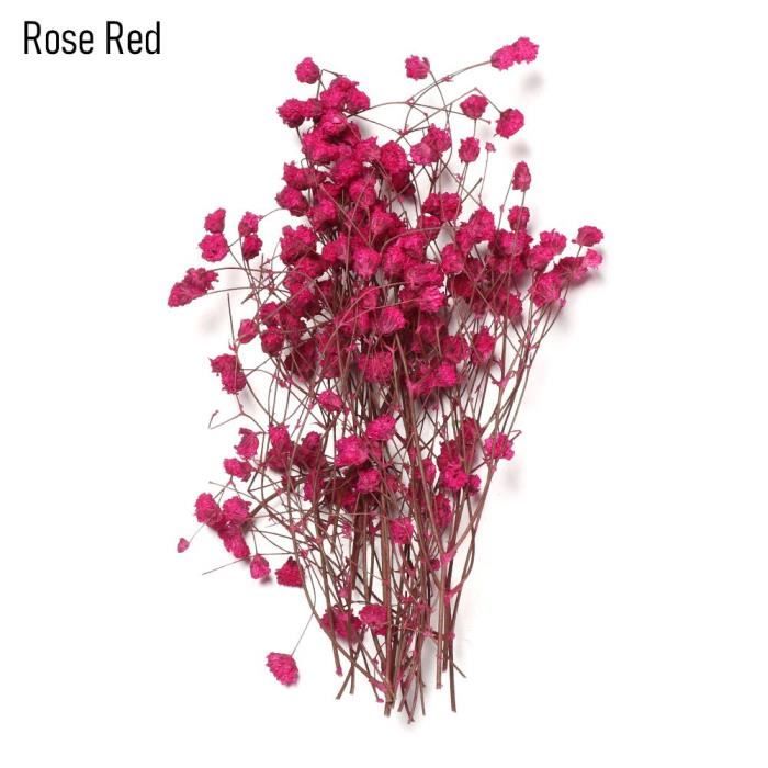 1 sac coloré décoratif naturel séché Bouquets gypsophile Mini vraie fleur plante tiges Photo accessoires maison décorati ES0397