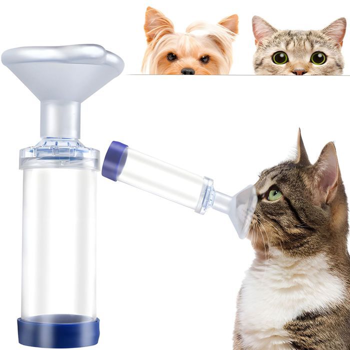Meilleurs prix pour Inhalateur pour animaux domestiques approuvé par les vétérinaires pour chats et chiens chambre transparente avec accents bleus