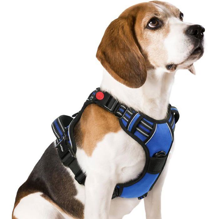 Comparer les prix de Harnais Chien Anti Traction avec 3 boucles pour Chien Facile à Mettre Harnais Réfléchissant Réglable pour Chien Bleu M
