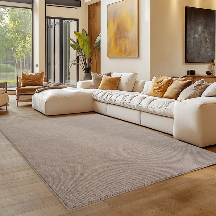 Carpettex Tapis 160x230 cm Beige Uni Scandinave Doux Résistant Facile à Nettoyer Salon Coin Canapé Chambre.