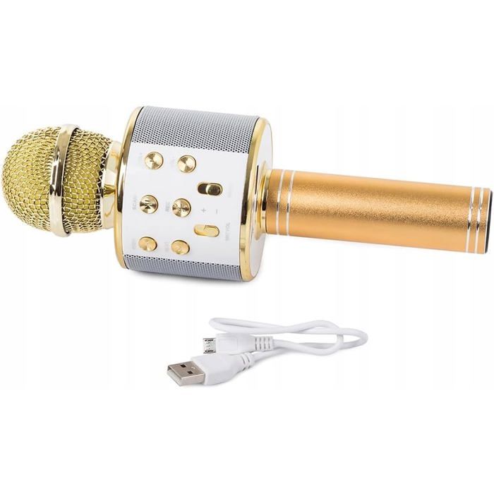 Microphone pour Enfant sans Fil Bluetooth Karaoké avec Haut Parleur