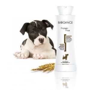 Shampoing - Biogance - Protéine Plus - 250 ml - Poil brillant - Démêlé et tonifié