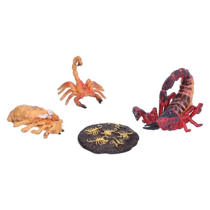Presse-papiers Résine Transparent Avec Scorpion Conservé - Spécimen éducatif, Dimensions 11x4,5x2,8 Cm, Pour Bureau Et Décoration