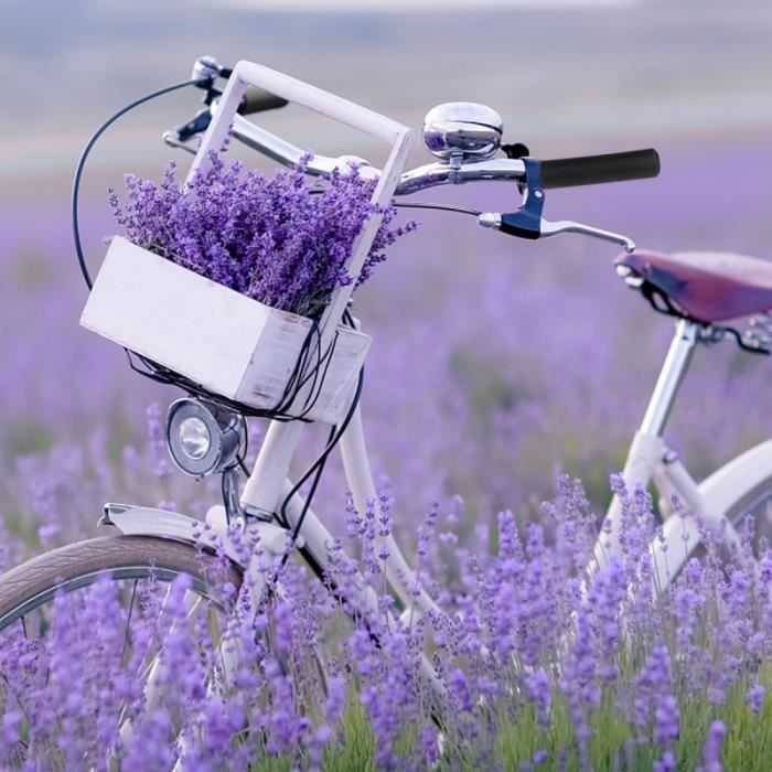 1 600+ Guidon De Vélo Stock Illustrations, graphiques vectoriels libre