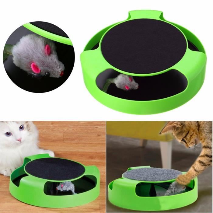 Cercle Chaton Chat Jouet Jeu Attraper Souris Peluche Entrainement Disque Gratter Cdiscount Animalerie Cercle Chaton Chat Jouet Jeu Attraper Souris Peluche Entrainement Disque Gratter Cdiscount Animalerie