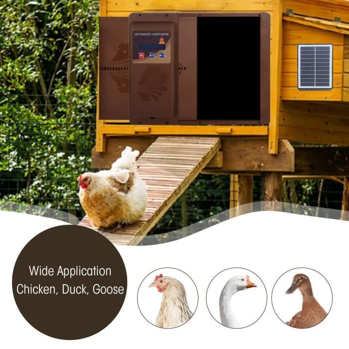 Rotelle Stabilizzatori Bici Bambini - Ruote Ausiliarie Regolabili Per Bici 16-22 Pollici - Foto 6