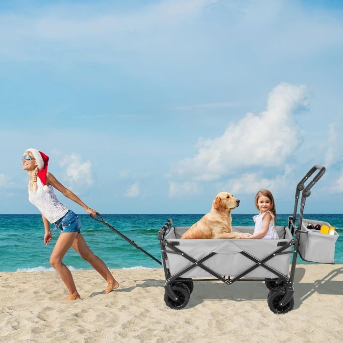 Chariot Pliable 100kg Avec Freins - Double Roues 8 Pouces Pour Plage, Jardin & Camping