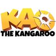 Kao The Kangaroo Jeu Switch-7