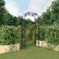 "SOLDE" Arche de jardin Contemporain - CSY - Noir 116x45x240 cm Acier 792710-0