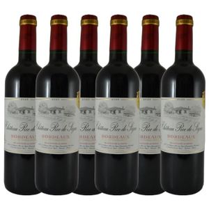 VIN ROUGE Château Roc de Ségur 2020 - AOC Bordeaux rouge - vin rouge de Bordeaux - lot de 6 bouteilles