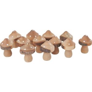 Mini kit champignons de Paris