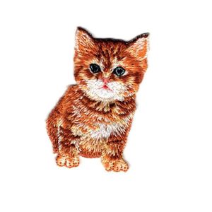 Chat Tigre Roux Cdiscount Chat Tigre Roux Cdiscount