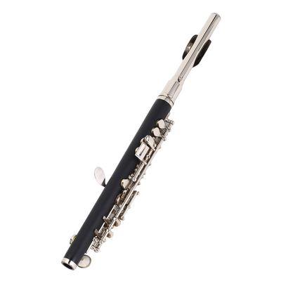 Flûte à Bec En Bois Colorée Pour Tout-Petits – Instrument De Musique Éducatif Sealive – Dès 3 Ans – Idéal Pour L’Éveil Musical Et L’Autisme